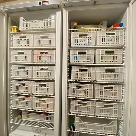 Bohobos Auberge de jeunesse Antibes