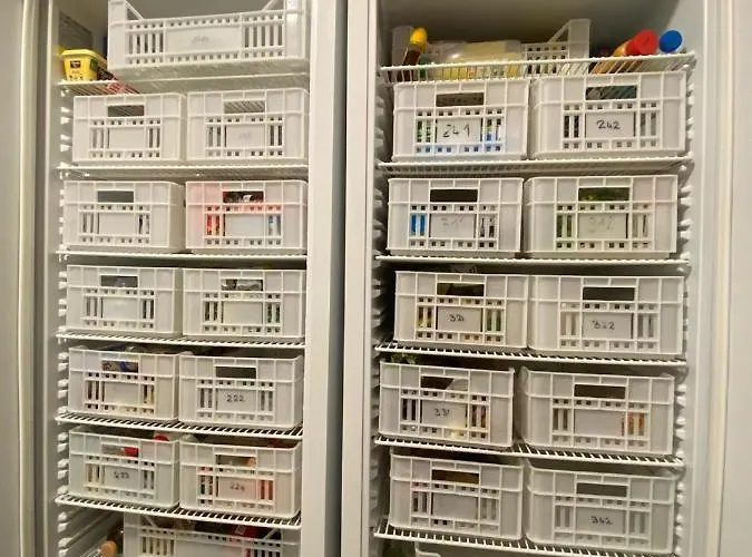 Bohobos Хостел Антіб